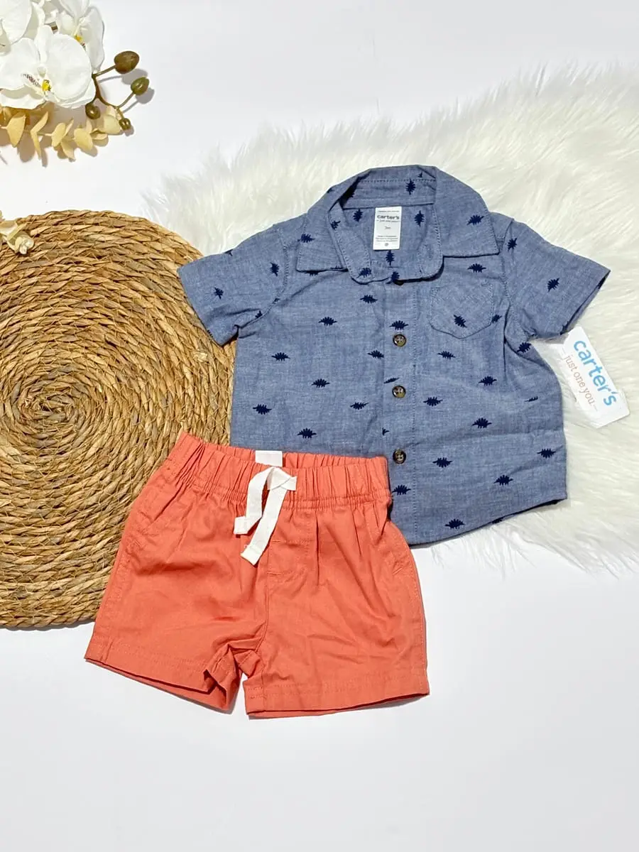 Camisa formal, tipo lona con dinosarios azules  y pantaloneta color ladrillo · talla 3 Meses